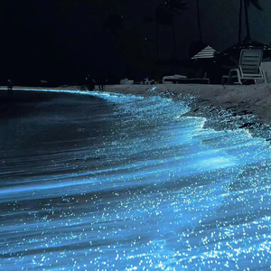 72式啪啪真人动态图大全
